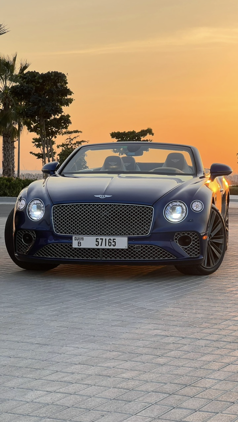 Bentley Continental - Image 24