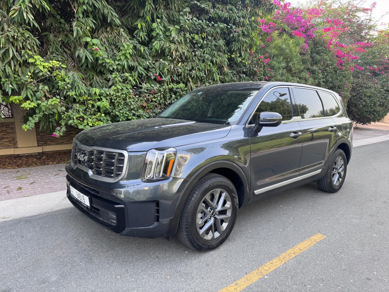 Kia Telluride - Image 3