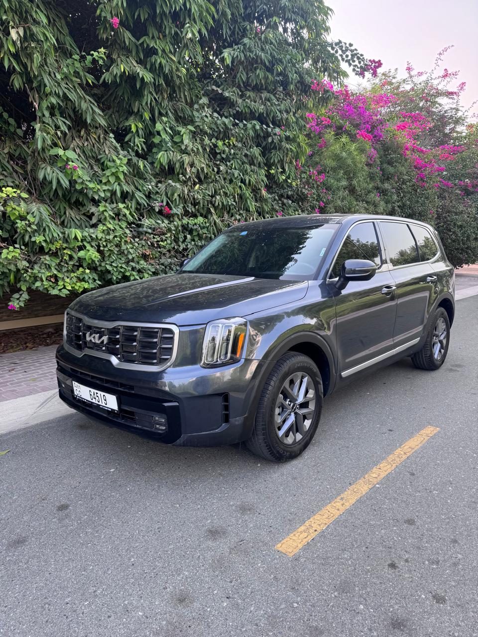 Kia Telluride - Image 5