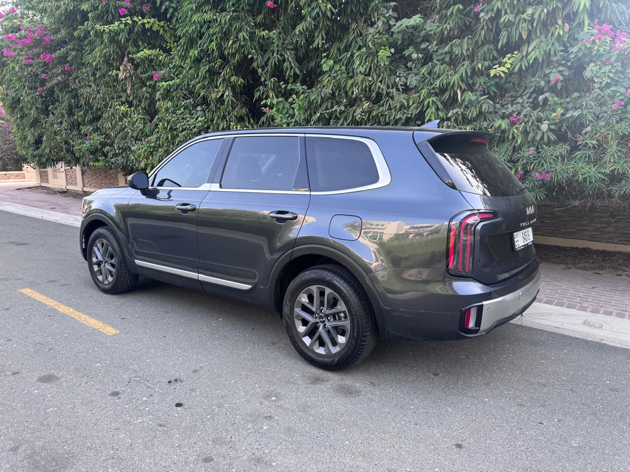 Kia Telluride - Image 12